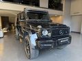 BRAVE 2004 MERCEDES-BENZ G 500 4x4² PROJE
