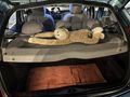 Sahibinden Citroen C3 1.4 SX 2004 Model  199.730 km Mavi