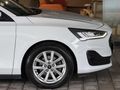 DS MOTOR'S DAN 2024 FOCUS HATASIZ BOYASIZ