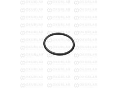 Cummins 6BT Sente Pimi Oring – 3913994