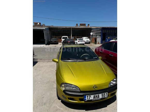 bakımlı tigra