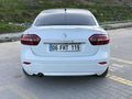 YAKIT CİMRİSİ BEYAZ KELEBELEK