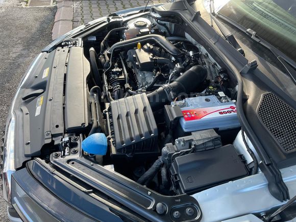 Galeriden Skoda Octavia 1.0 e-Tec Elite 2024 Model Malatya