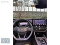 CUPRA HATA BOYA YOK 50 BİN KM