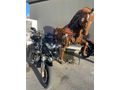 Sahibinden Benelli TRK 502 