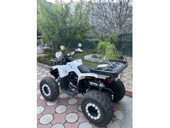 Sahibinden ATV & UTV Revolt RA5 