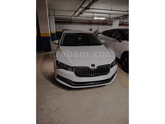 Sahibinden Skoda SuperB 1.6 TDI Premium 2020 Model