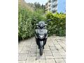 Sahibinden Yamaha RayZR 