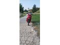 Sahibinden Arora AR 50-50 Kasırga
