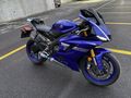 DEGİŞENSİZ İŞLEMSİZ 8.000KM 2017 YZF R6
