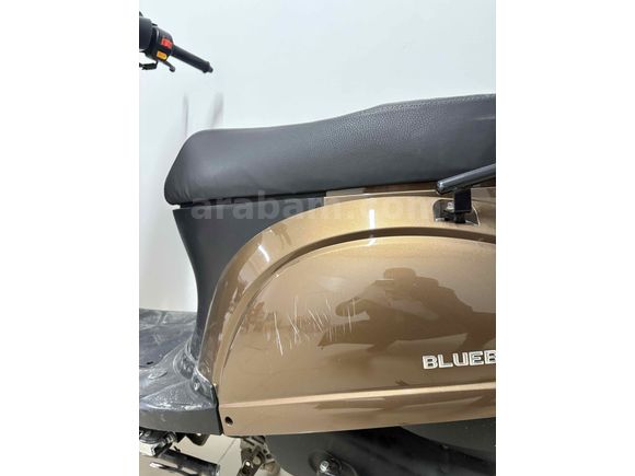 Çıtır Hasarlı Blueberry 