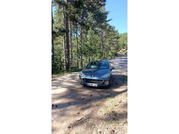 Sahibinden Peugeot 407 2.0 Executive 2005 Model