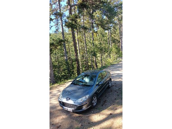 Sahibinden Peugeot 407 2.0 Executive 2005 Model
