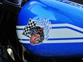 Sahibinden Harley Davidson Low Rider ST İstanbul