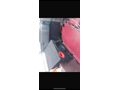 EKSTRALI-OTOMOBİL RUHSATLI-VİTO