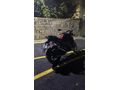 TERTEMİZ RTR 200