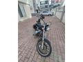 Sahibinden Regal Raptor Classic 125