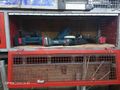 Sahibinden Fiat Ducato 17 m³ 2011 Model