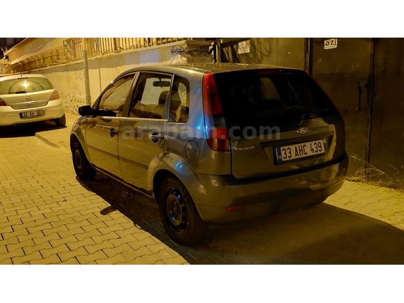 2004 model fiesta