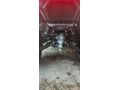 Sahibinden Loncin XWolf 700