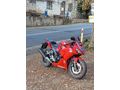 Sahibinden Honda CBR 250 R
