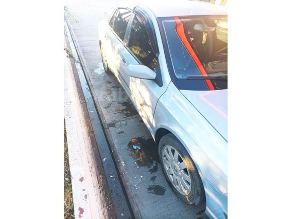 Sahibinden Renault Laguna 2.0 Privilege 2003 Model 