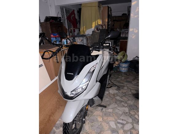 Göz bebeği Nardo 