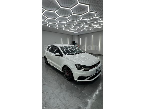1.6 Cay Polo