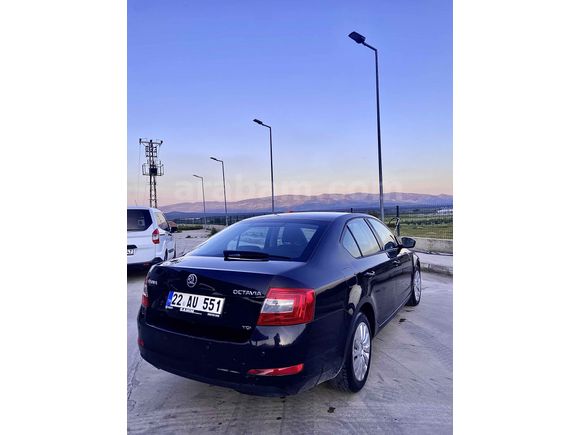 Sahibinden Skoda Octavia 1.6 TDI Ambition 2013 Model 