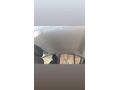 Sahibinden Opel Corsa 1.3 CDTI Enjoy 2008 Model