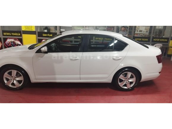 Sahibinden Skoda Octavia 1.6 TDI Optimal 2016 Model