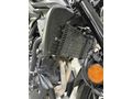 Sahibinden Yamaha MT 25 ABS 