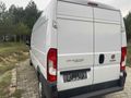 Sahibinden Fiat Ducato 13 m³ 2017 Model 