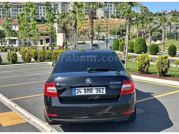 Sahibinden Skoda Octavia 1.6 TDI Optimal 2018 Model 