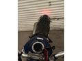 Sahibinden Hero XPulse 200 4V Pro