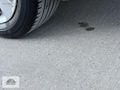ATLAS AUTO'DAN TOYOTA+COROLLA+1.4D4+ELEGANS+PAKET
