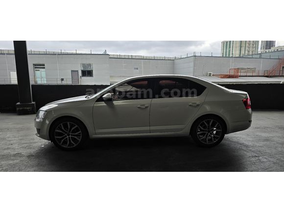 Sahibinden Skoda Octavia 1.2 TSI Ambition 2016 Model