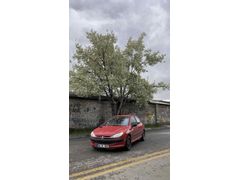 Sahibinden Peugeot 206 1.4 HDi X-line 2003 Model 