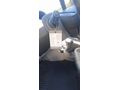Sahibinden Renault Modus 1.4 Authentique 2006 Model