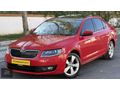 TOKATLI ÖZ KARDEŞLER 2015 OCTAVİA OTOMATİK 1.6 TDI CAM TAVAN