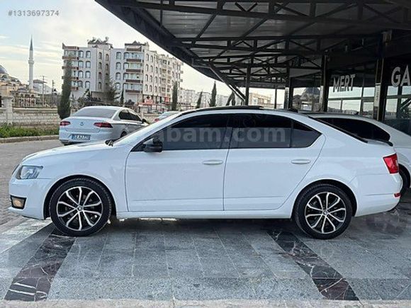 MERT GALERİ DEN OCTAVİA
