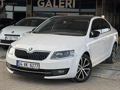MERT GALERİ DEN OCTAVİA