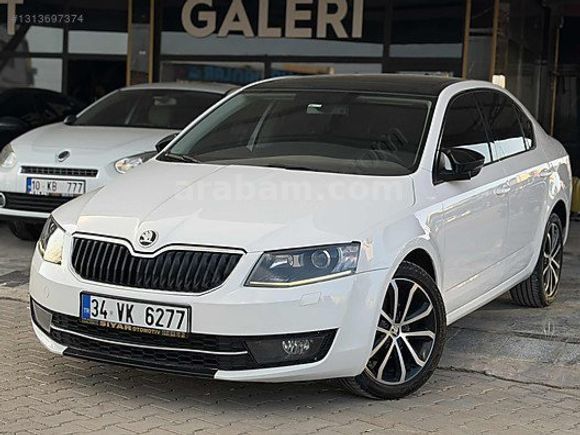 MERT GALERİ DEN OCTAVİA
