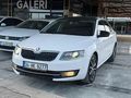 MERT GALERİ DEN OCTAVİA