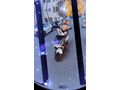 Sahibinden Arora Verano özel seri 50 125cc Bursa