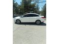 Sahibinden Ford Focus 1.6 TDCi Trend X 2016 Model