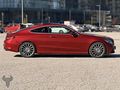 TOROT MOTORS | HAYALET BURMESTER 9G E.BAGAJ