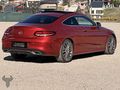 TOROT MOTORS | HAYALET BURMESTER 9G E.BAGAJ