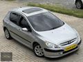 ÇAKIR AUTO'DAN AİRLİ DEGİŞENSİZ 307