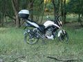 Sahibinden Mondial 125 Drift L CBS